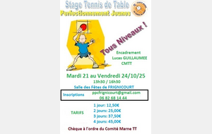 Stage de Perfectionnement TENNIS de TABLE tous niveaux